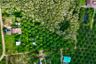 Land for sale in Sai Thai, Krabi