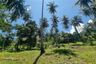 Land for sale in Khanom, Nakhon Si Thammarat