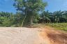 Land for sale in Khanom, Nakhon Si Thammarat