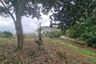 Land for sale in Don Sak, Surat Thani