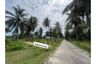 Land for sale in Klai, Nakhon Si Thammarat