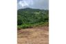 Land for sale in Na Mueang, Surat Thani