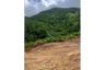 Land for sale in Na Mueang, Surat Thani
