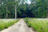 Land for sale in Na Mueang, Surat Thani