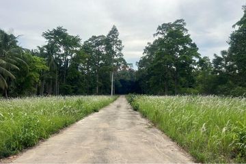 Land for sale in Taling Ngam, Surat Thani