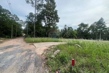 Land for sale in Taling Ngam, Surat Thani