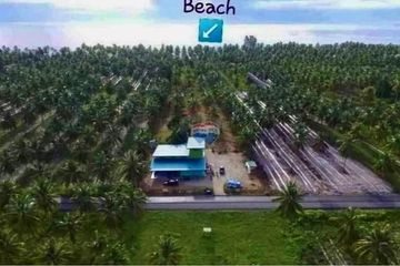 Land for sale in Tha Sala, Nakhon Si Thammarat