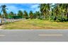 Land for sale in Tha Sala, Nakhon Si Thammarat