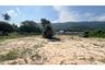 Land for sale in Thung Sai, Nakhon Si Thammarat