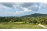 Land for sale in Mae Nam, Surat Thani