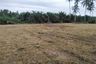 Land for sale in Sao Phao, Nakhon Si Thammarat