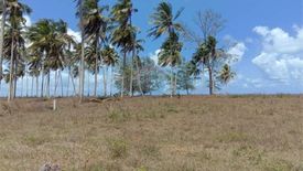 Land for sale in Sao Phao, Nakhon Si Thammarat