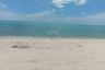 Land for sale in Sao Phao, Nakhon Si Thammarat