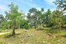 Land for sale in Maret, Surat Thani