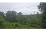 Land for sale in Mae Nam, Surat Thani