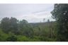 Land for sale in Mae Nam, Surat Thani