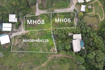 Land for sale in Mae Nam, Surat Thani
