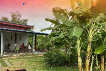 Land for sale in Sam Phraya, Phetchaburi