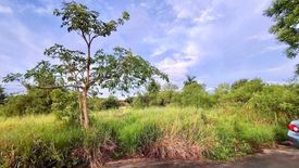 Land for sale in Pong, Chonburi