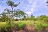 Land for sale in Pong, Chonburi
