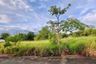 Land for sale in Pong, Chonburi