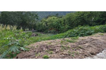 Land for sale in Mae Nam, Surat Thani