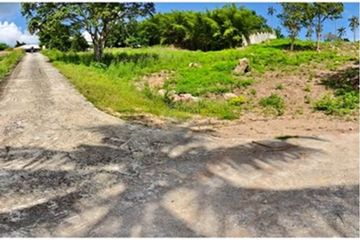 Land for sale in Mae Nam, Surat Thani