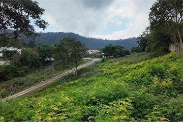 Land for sale in Mae Nam, Surat Thani