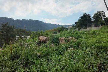 Land for sale in Mae Nam, Surat Thani
