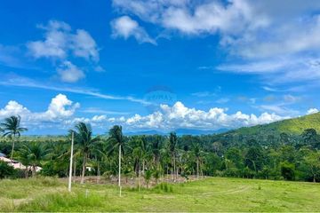Land for sale in Mae Nam, Surat Thani