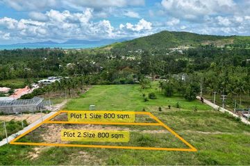 Land for sale in Mae Nam, Surat Thani