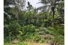 Land for sale in Bo Phut, Surat Thani