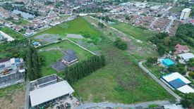 Land for sale in Nong Irun, Chonburi