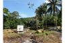 Land for sale in Bo Phut, Surat Thani