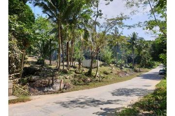 Land for sale in Bo Phut, Surat Thani