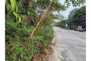 Land for sale in Ko Pha-ngan, Surat Thani