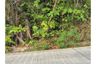 Land for sale in Ko Pha-ngan, Surat Thani