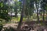 Land for sale in Na Mueang, Surat Thani