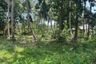 Land for sale in Na Mueang, Surat Thani