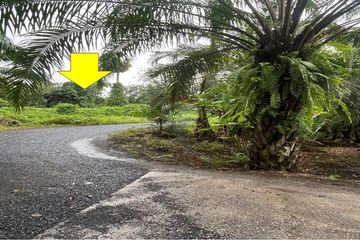 Land for sale in Talat, Surat Thani