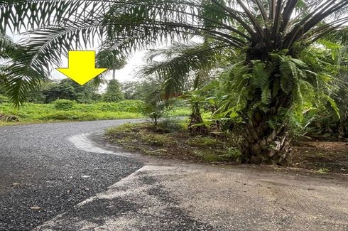 Land for sale in Talat, Surat Thani