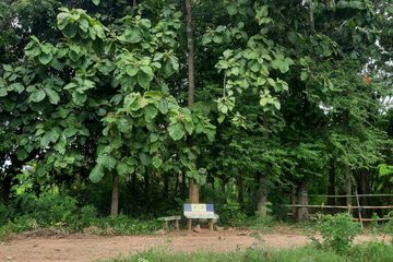 Land for sale in Tha Mai, Kanchanaburi