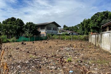 Land for sale in Rim Tai, Chiang Mai