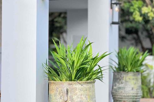 4 Bedroom House for sale in Nong Chom, Chiang Mai