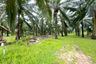 Land for sale in Ao Nang, Krabi