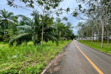 Land for sale in Ao Nang, Krabi