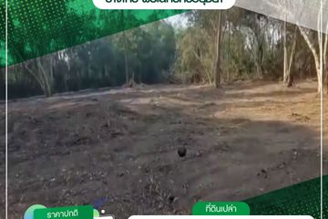 Land for Sale or Rent in Bang Phli, Phra Nakhon Si Ayutthaya