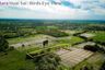 Land for sale in Huai Sai, Chiang Mai