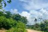 Land for sale in Tha Yu, Phang Nga