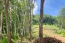 Land for sale in Tha Yu, Phang Nga
